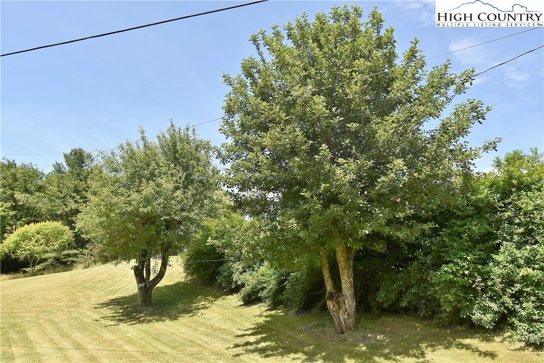 114 Dolinger Road Whitetop, VA 24292 - Photo 28 of 28 a view of a yard