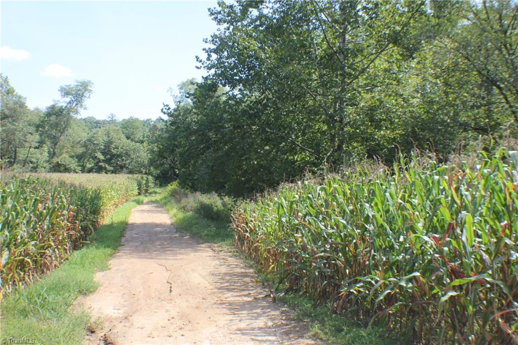 176 Spruce Pine Lane Pilot Mountain, NC 27041 - Photo 11 of 28