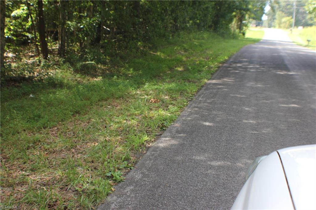 176 Spruce Pine Lane Pilot Mountain, NC 27041 - Photo 13 of 28