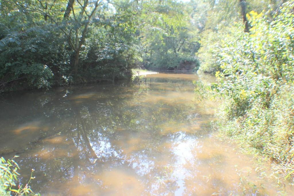 176 Spruce Pine Lane Pilot Mountain, NC 27041 - Photo 14 of 28