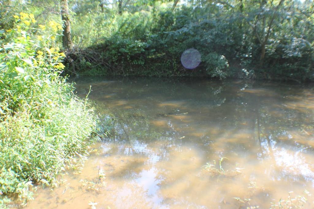 176 Spruce Pine Lane Pilot Mountain, NC 27041 - Photo 15 of 28