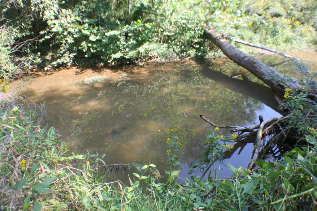 176 Spruce Pine Lane Pilot Mountain, NC 27041 - Photo 17 of 28