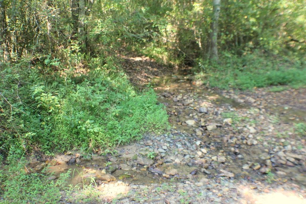 176 Spruce Pine Lane Pilot Mountain, NC 27041 - Photo 18 of 28