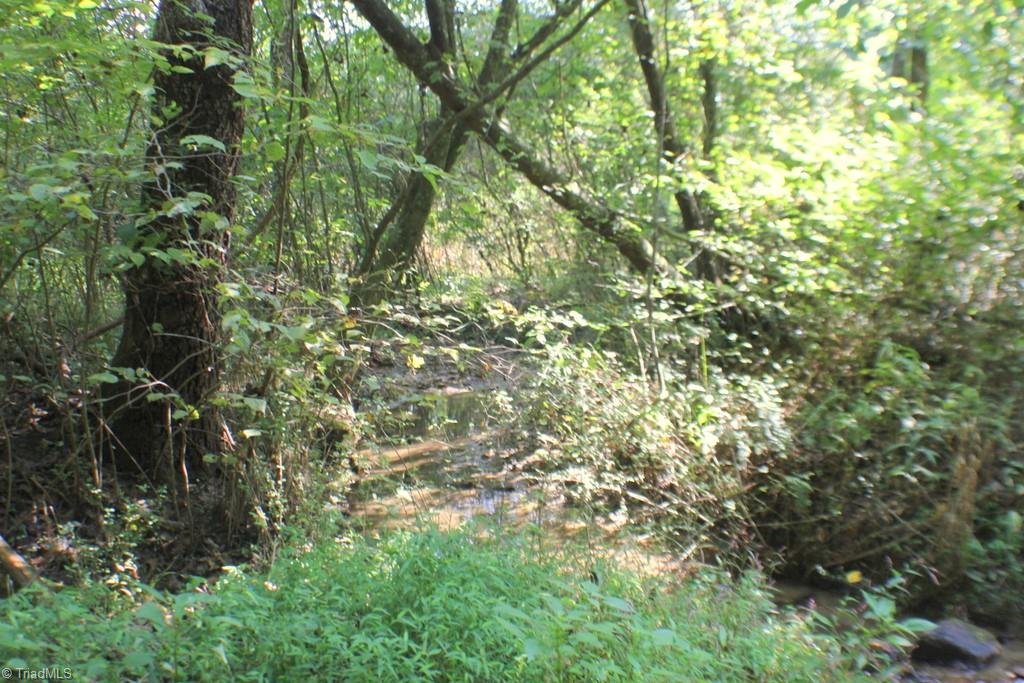 176 Spruce Pine Lane Pilot Mountain, NC 27041 - Photo 20 of 28