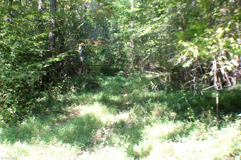 176 Spruce Pine Lane Pilot Mountain, NC 27041 - Photo 21 of 28