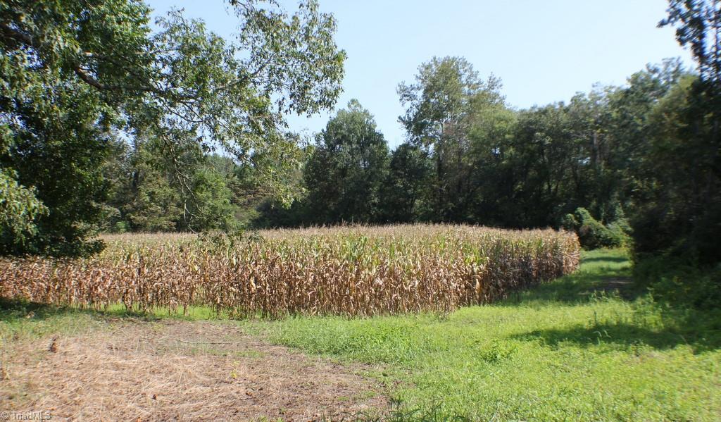 176 Spruce Pine Lane Pilot Mountain, NC 27041 - Photo 22 of 28