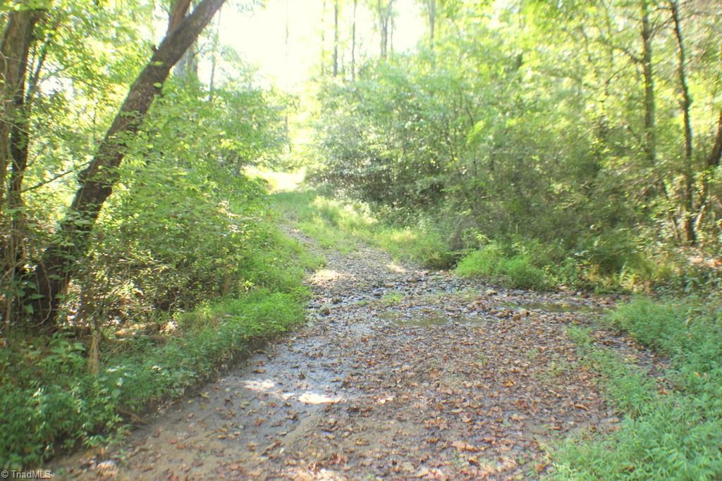 176 Spruce Pine Lane Pilot Mountain, NC 27041 - Photo 23 of 28