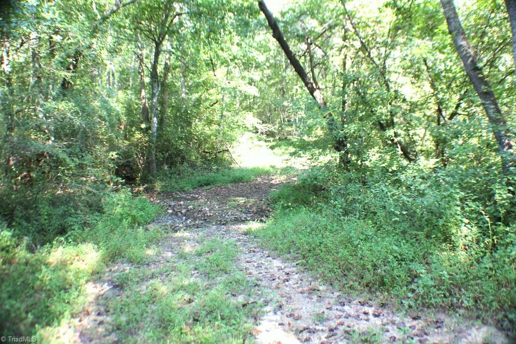 176 Spruce Pine Lane Pilot Mountain, NC 27041 - Photo 24 of 28