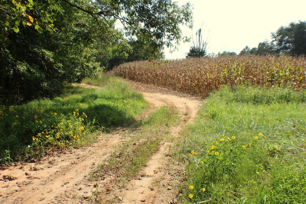 176 Spruce Pine Lane Pilot Mountain, NC 27041 - Photo 26 of 28