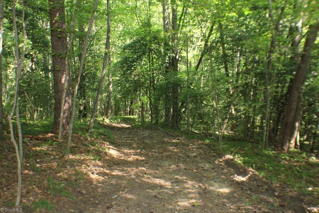 176 Spruce Pine Lane Pilot Mountain, NC 27041 - Photo 27 of 28