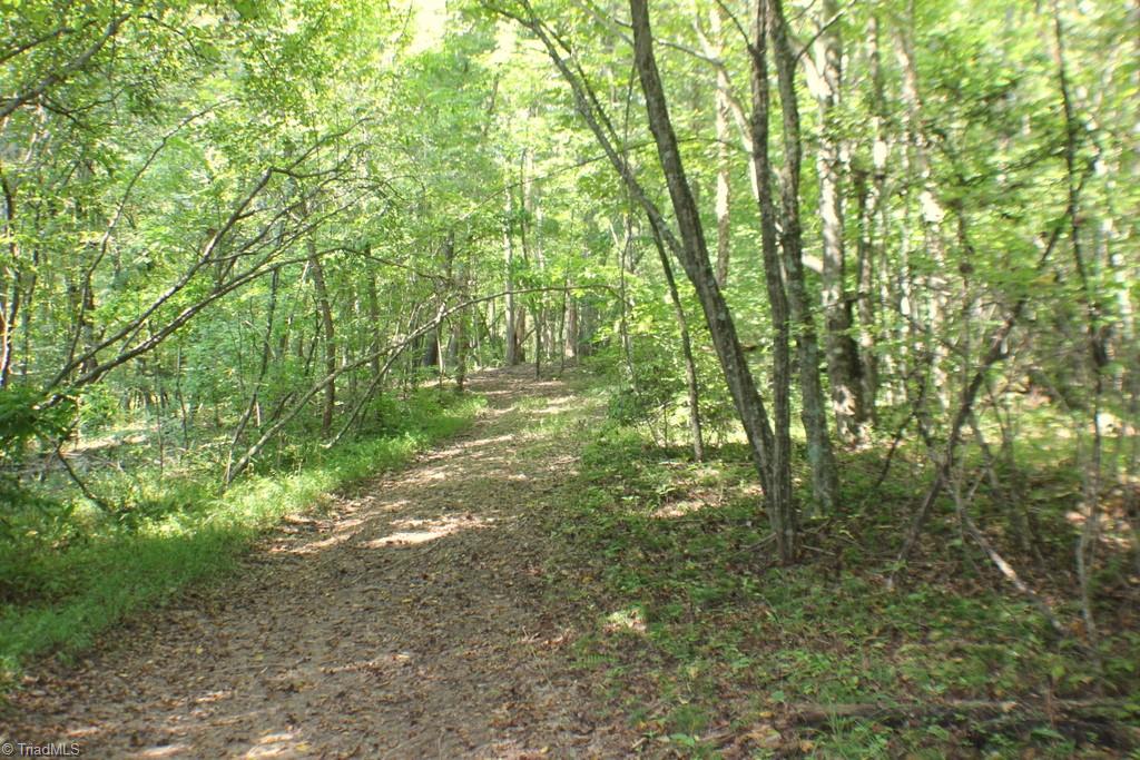 176 Spruce Pine Lane Pilot Mountain, NC 27041 - Photo 28 of 28