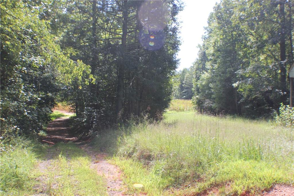 176 Spruce Pine Lane Pilot Mountain, NC 27041 - Photo 3 of 28 Aerial View from county records
