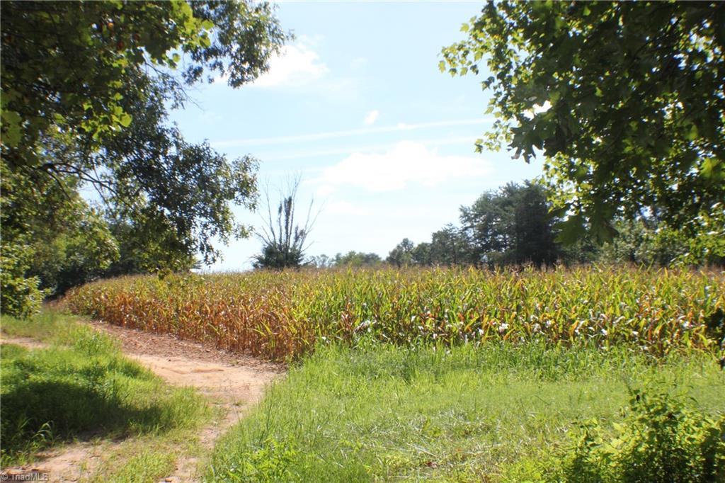 176 Spruce Pine Lane Pilot Mountain, NC 27041 - Photo 6 of 28