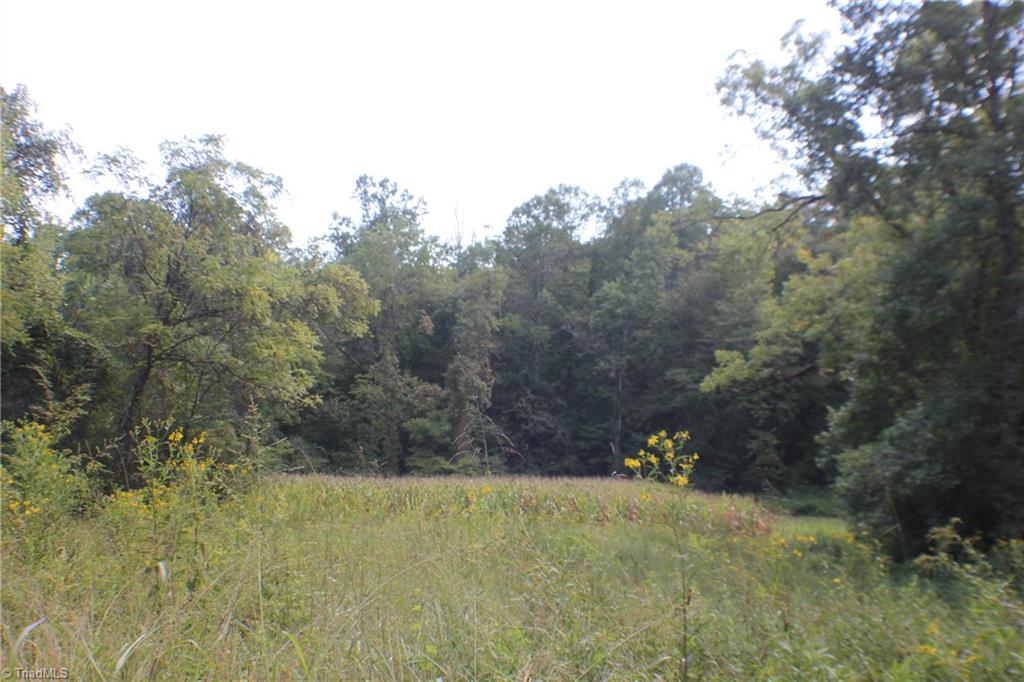 176 Spruce Pine Lane Pilot Mountain, NC 27041 - Photo 9 of 28