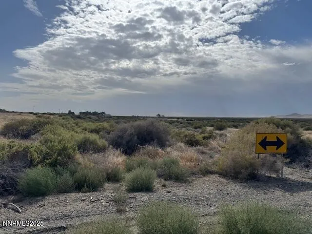 a view of a field of grass and trees