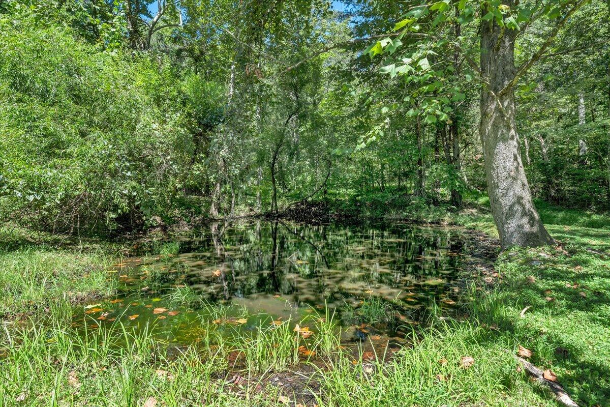 7888 Botetourt Road Fincastle, VA 24090 - Photo 30 of 36 30-MIB05643