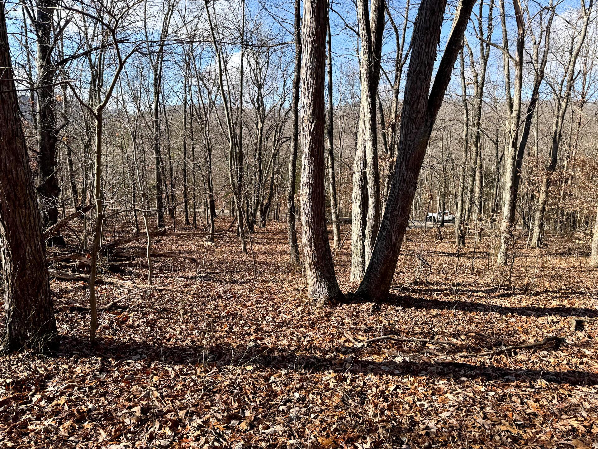 286 Golf Course Road, Unit TRACT 7 SKYLINEACRES) Waverly, OH 45690 - Photo 31 of 46 CT-31