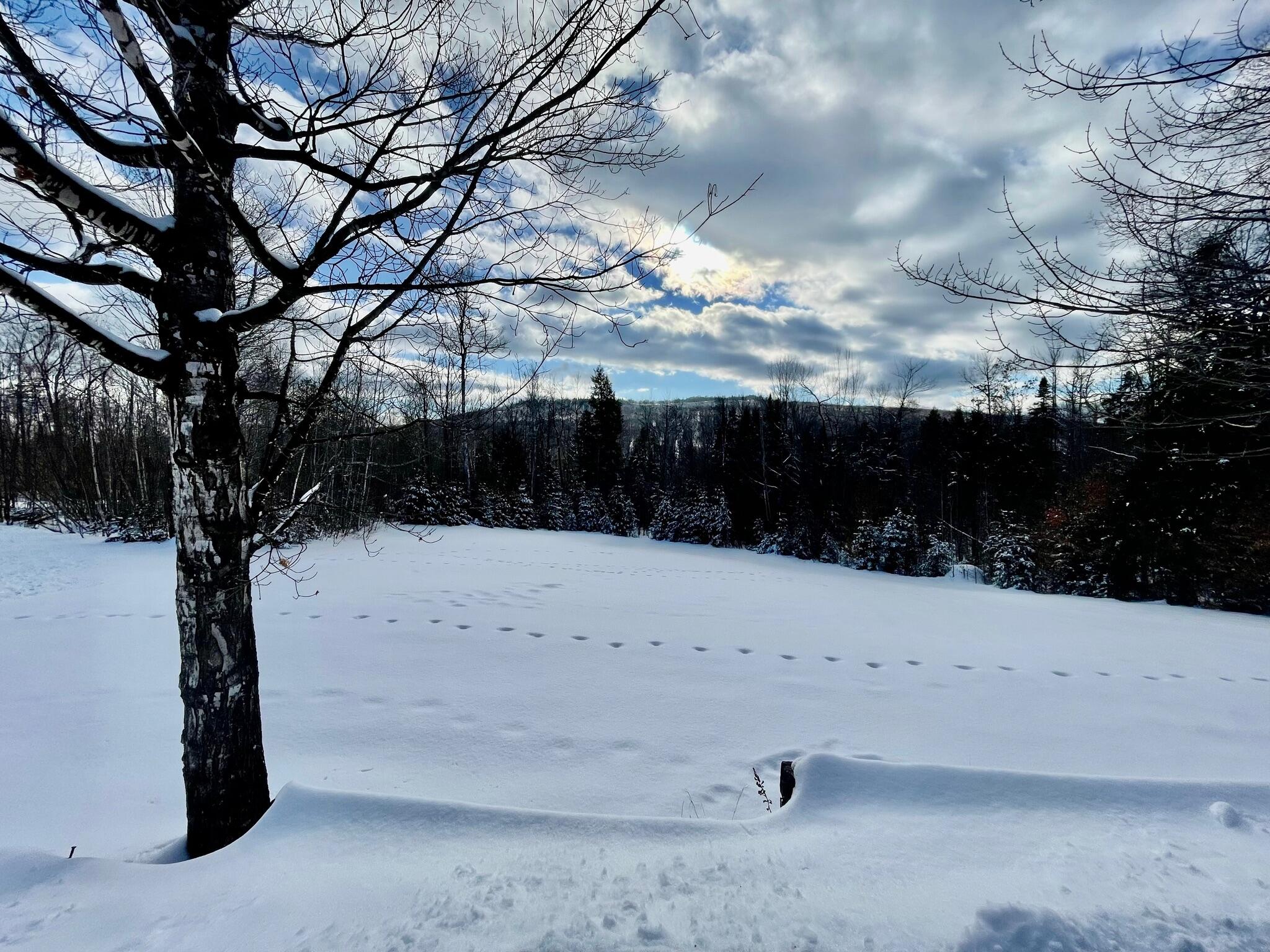 1 Tellis Road Kingfield, ME 04947 - Photo 52 of 69 IMG_3516