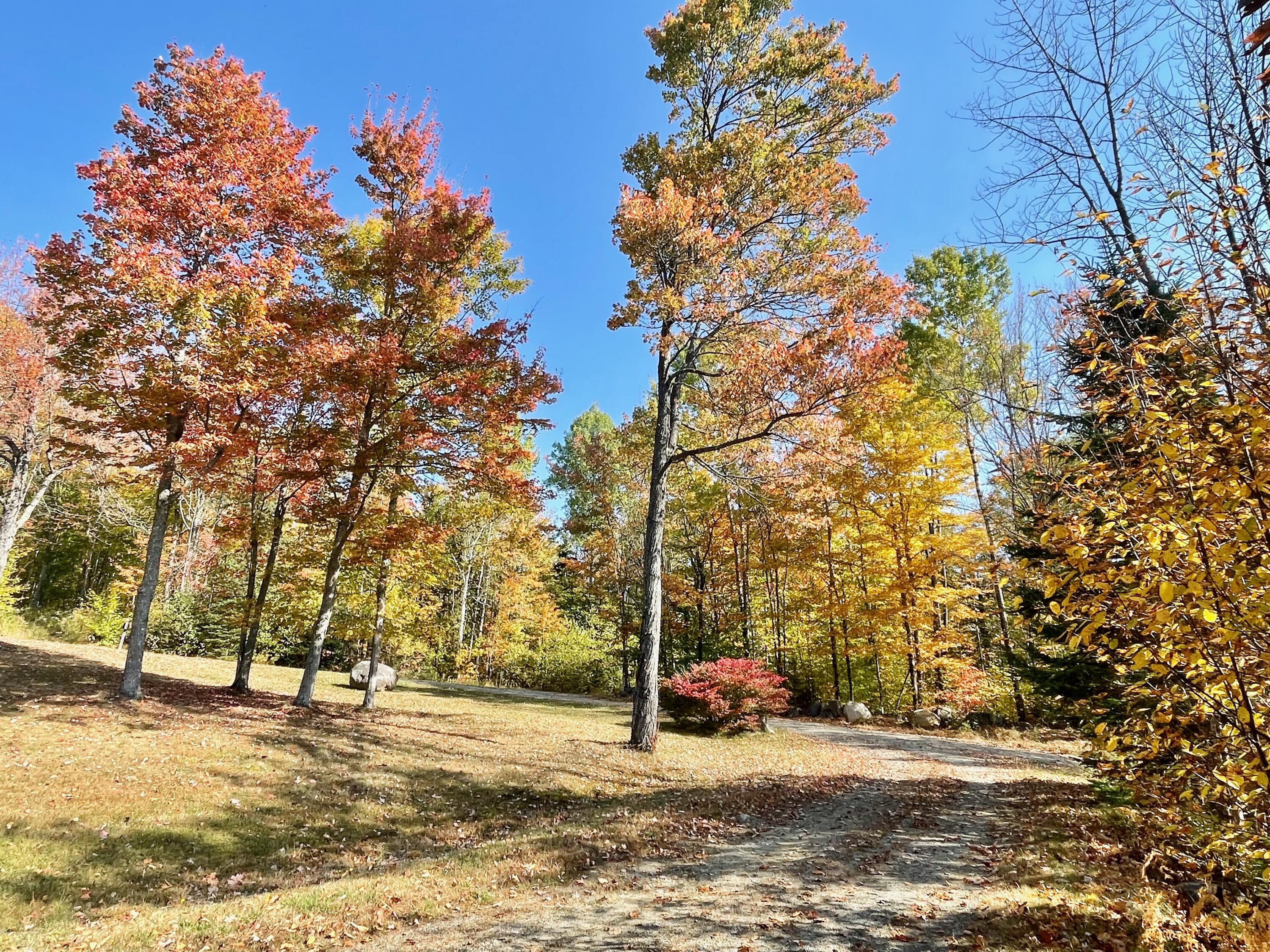 1 Tellis Road Kingfield, ME 04947 - Photo 66 of 69 IMG_2922