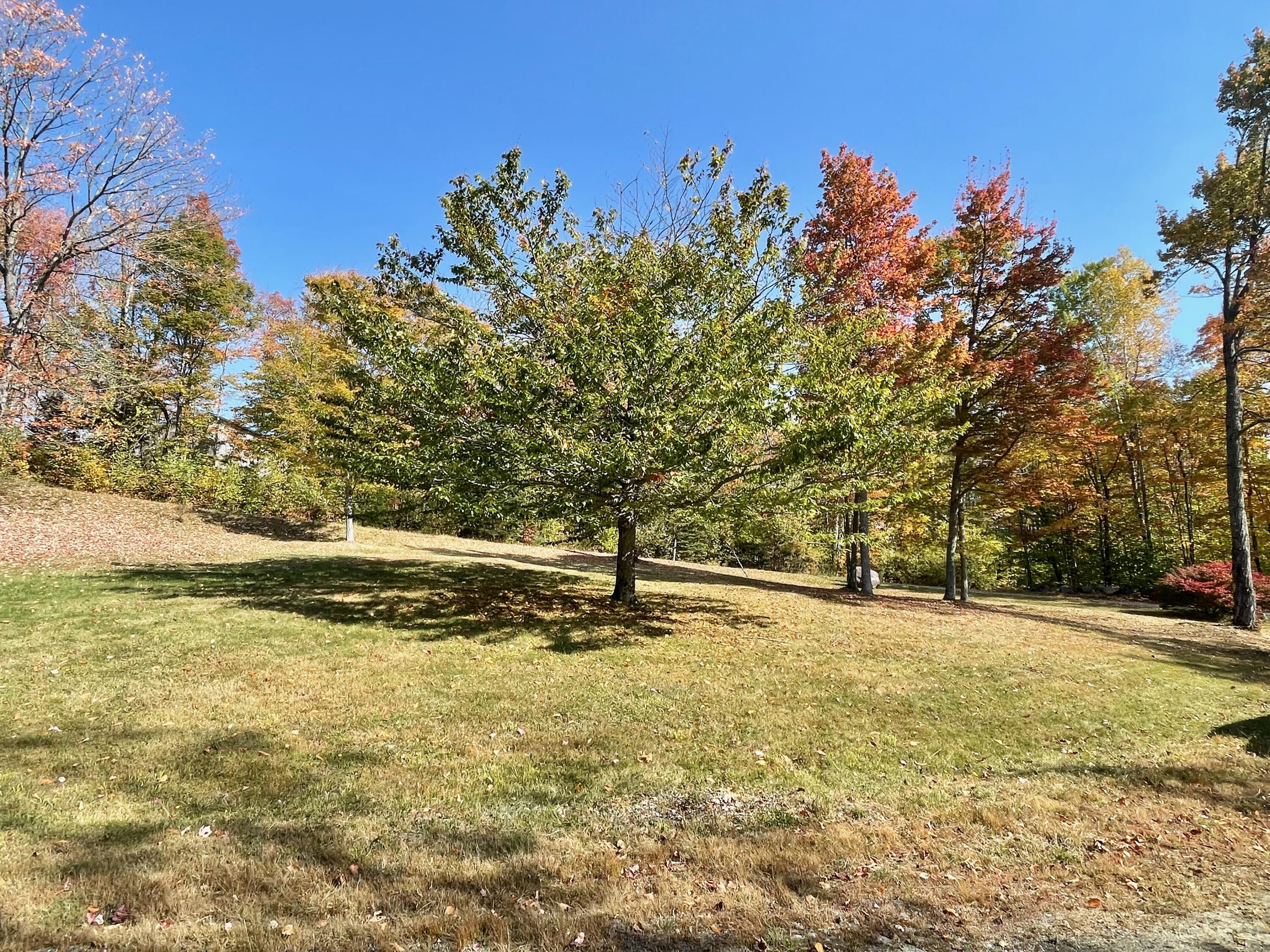 1 Tellis Road Kingfield, ME 04947 - Photo 67 of 69 IMG_2914