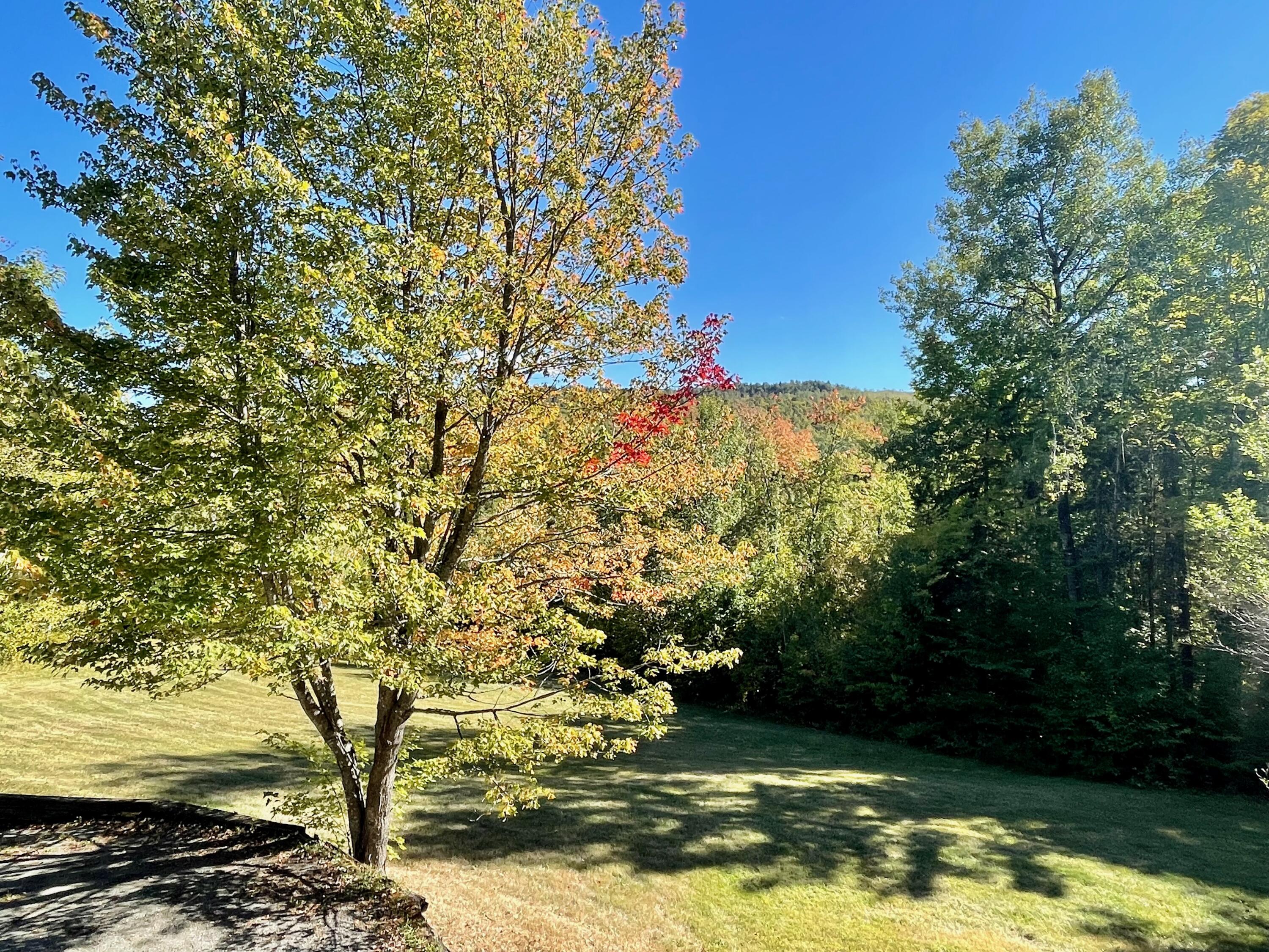 1 Tellis Road Kingfield, ME 04947 - Photo 69 of 69 IMG_2685