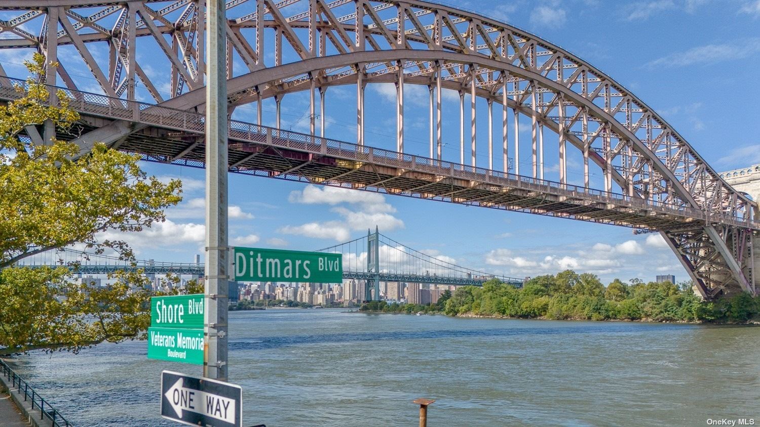 18-31 Ditmars Boulevard Queens, NY 11105 - Photo 3 of 23