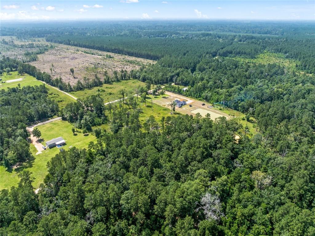 33991 J L Kinchen Road Independence, LA 70443 - Photo 8 of 12 Gallery Image 8