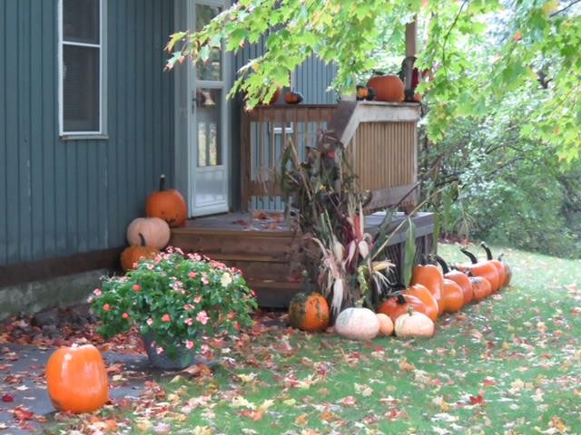 268 Cassidy Road Chateaugay, NY 12920 - Photo 52 of 60