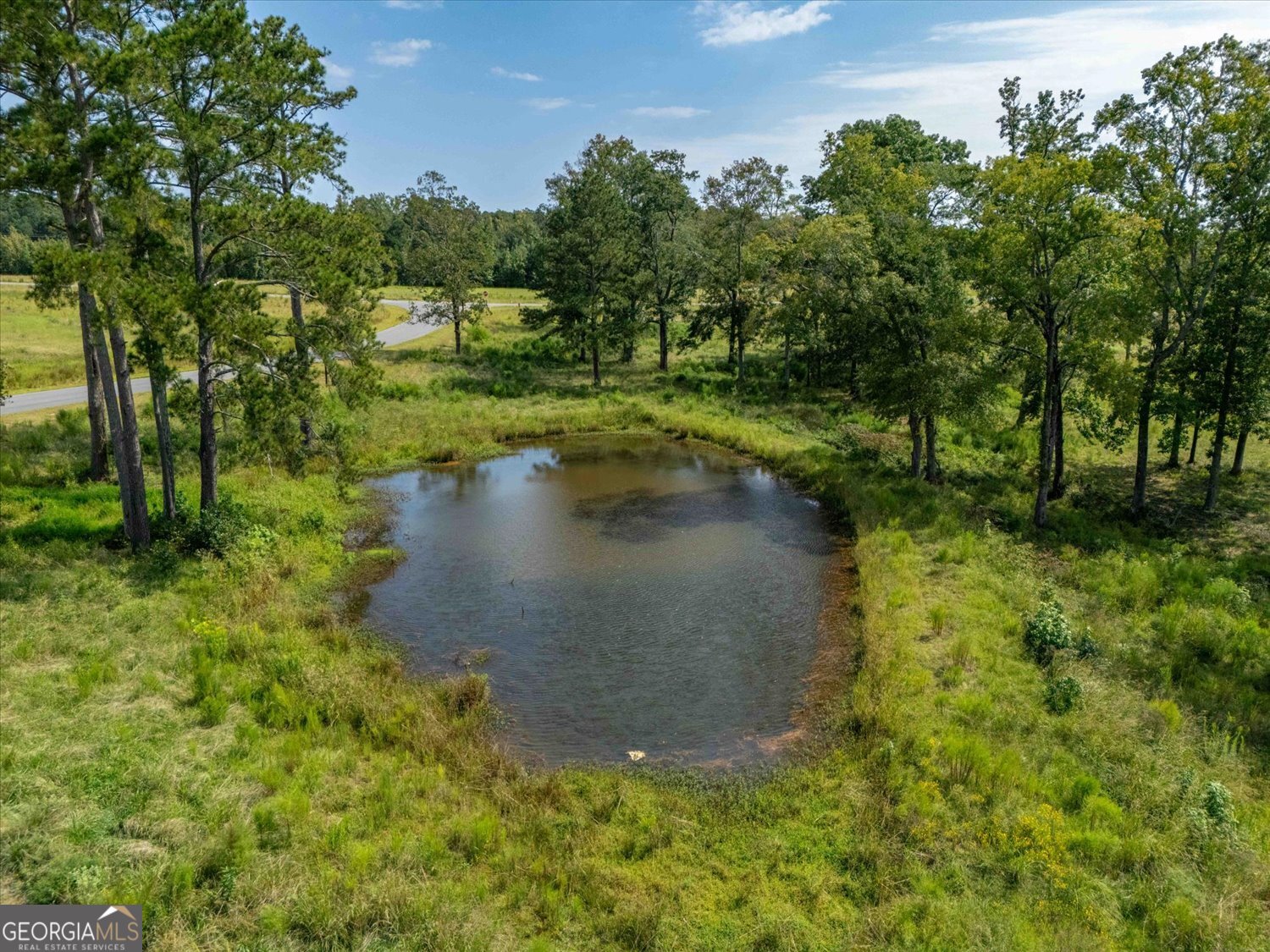 0 Cobbham Road Thomson, GA 30824 - Photo 8 of 13 a view of a lake with a yard