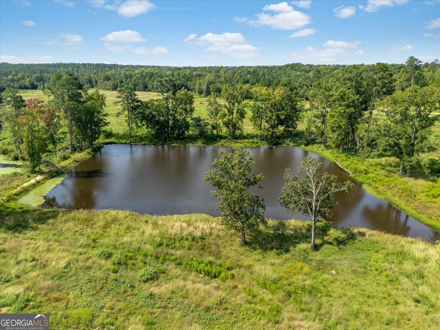 0 Cobbham Road Thomson, GA 30824 - Photo 9 of 13 a view of a lake with a city