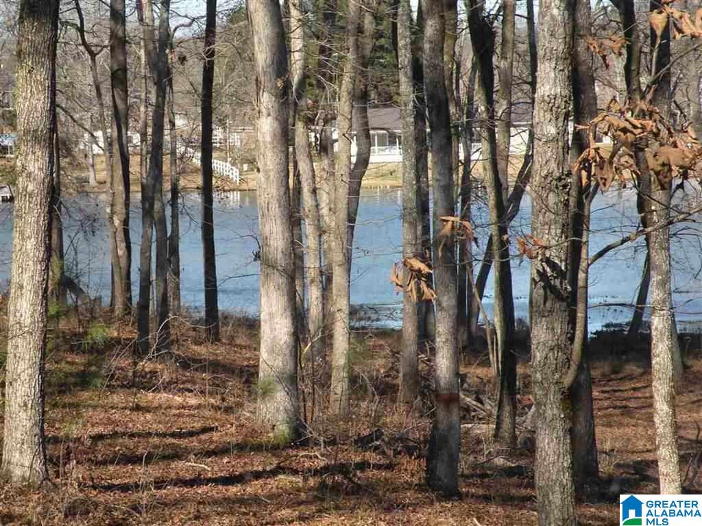 Castaway Road Sylacauga, AL 35151 - Photo 6 of 28