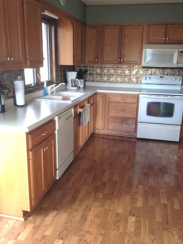 463 Reuter Road Amboy, IL 61310 - Photo 11 of 11 a kitchen with stainless steel appliances granite countertop a sink stove and cabinets