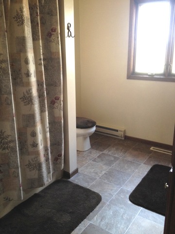 463 Reuter Road Amboy, IL 61310 - Photo 3 of 11 a view of a bathroom