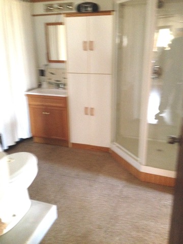 463 Reuter Road Amboy, IL 61310 - Photo 8 of 11 a bathroom with a sink and a mirror