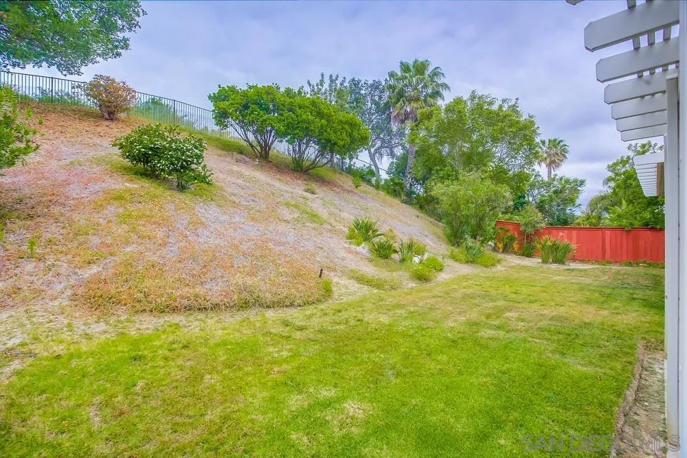 2322 Byron Place Carlsbad, CA 92008 - Photo 51 of 56 a view of a yard with an tree and plants