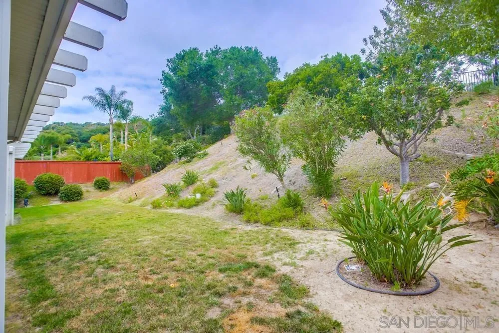 2322 Byron Place Carlsbad, CA 92008 - Photo 53 of 56 a view of a garden with a plant