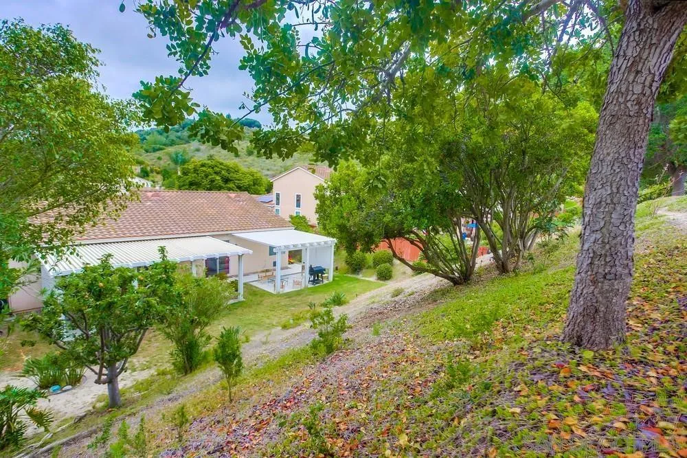 2322 Byron Place Carlsbad, CA 92008 - Photo 55 of 56 a aerial view of a house with a yard