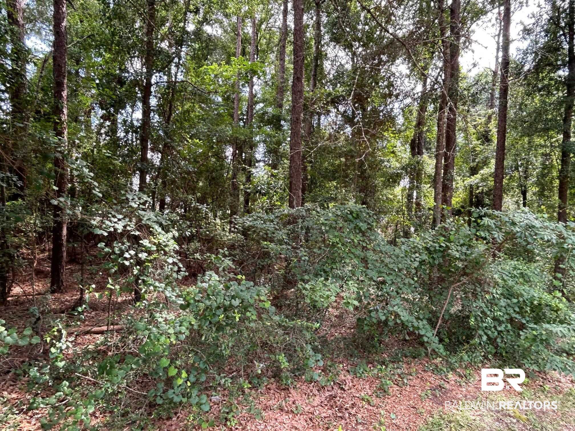 0 Laura Drive Semmes, AL 36575 - Photo 2 of 8 View 2