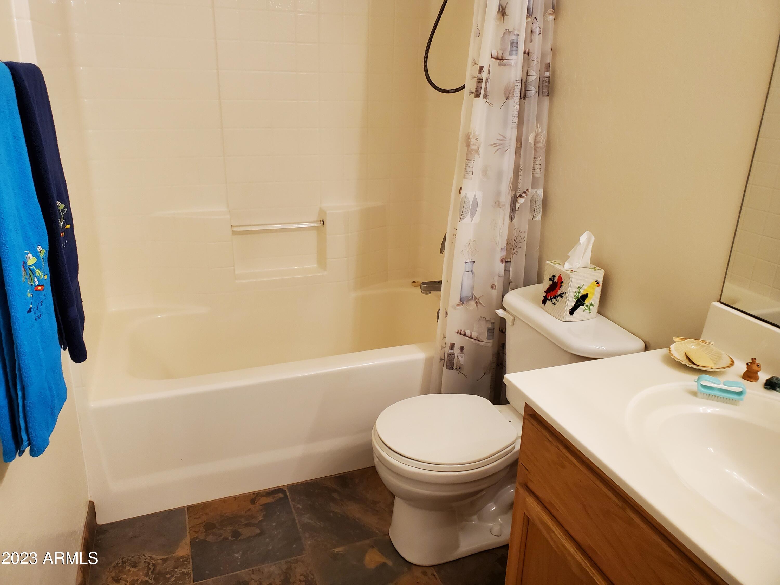 12753 West Calavar Road El Mirage, AZ 85335 - Photo 23 of 27 Hall Bath