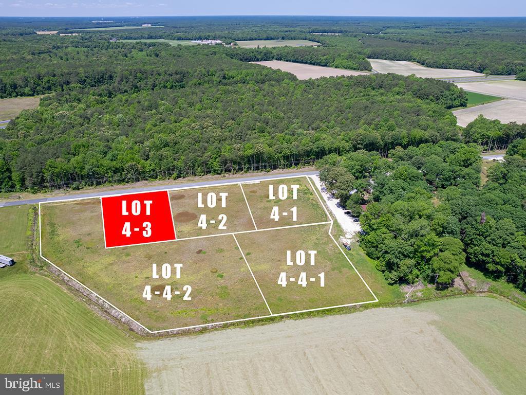 Lot 4-3 South Old State Road Georgetown, DE 19947 - Photo 1 of 12 Gallery Image 1