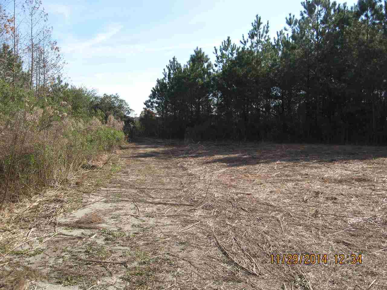 1533 Davis Field Road Pollocksville, NC 28573 - Photo 5 of 20 Additional Photo