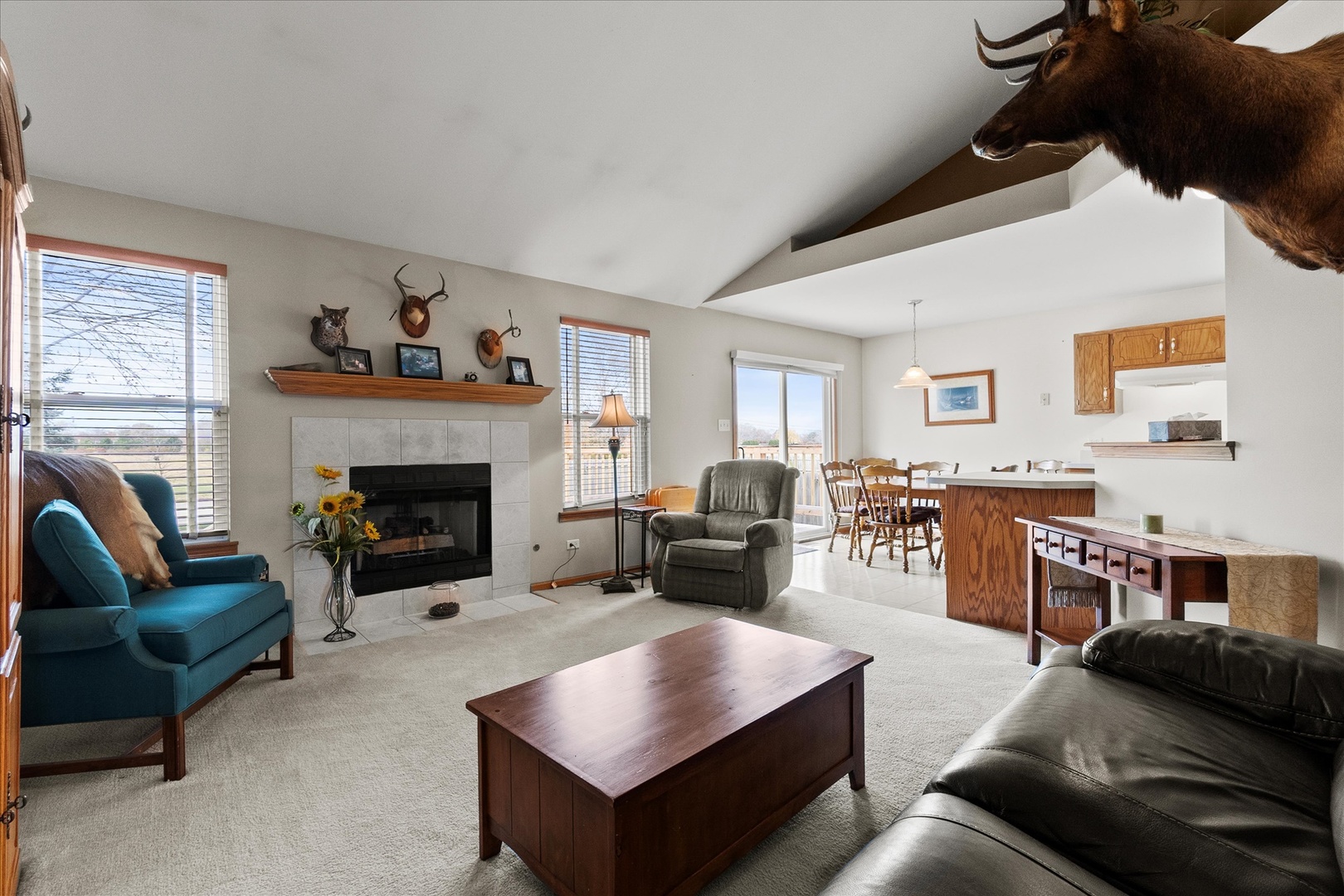 4513 Skylark Lane Plainfield, IL 60586 - Photo 2 of 23 a living room with furniture and a fireplace
