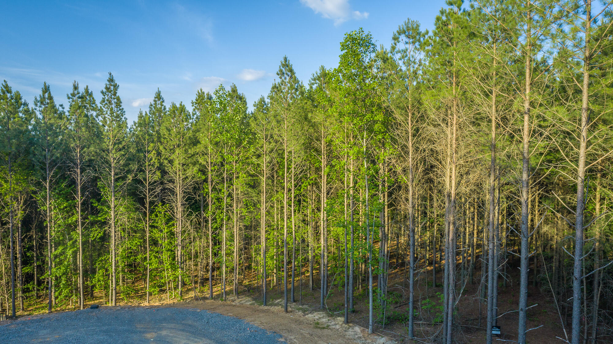 0 Back Basin Trail, Unit LOT 1244 Chattanooga, TN 37419 - Photo 50 of 119 0 Back Basin Trail - Lot 1244 HD-4