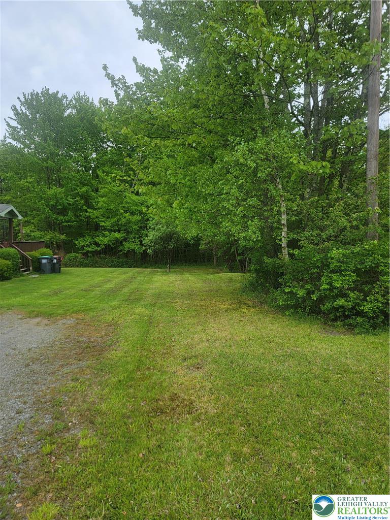 320 Hillside Street Forest City, PA 18421 - Photo 24 of 24 A verdant lawn meets a border of mature trees under an overcast sky.