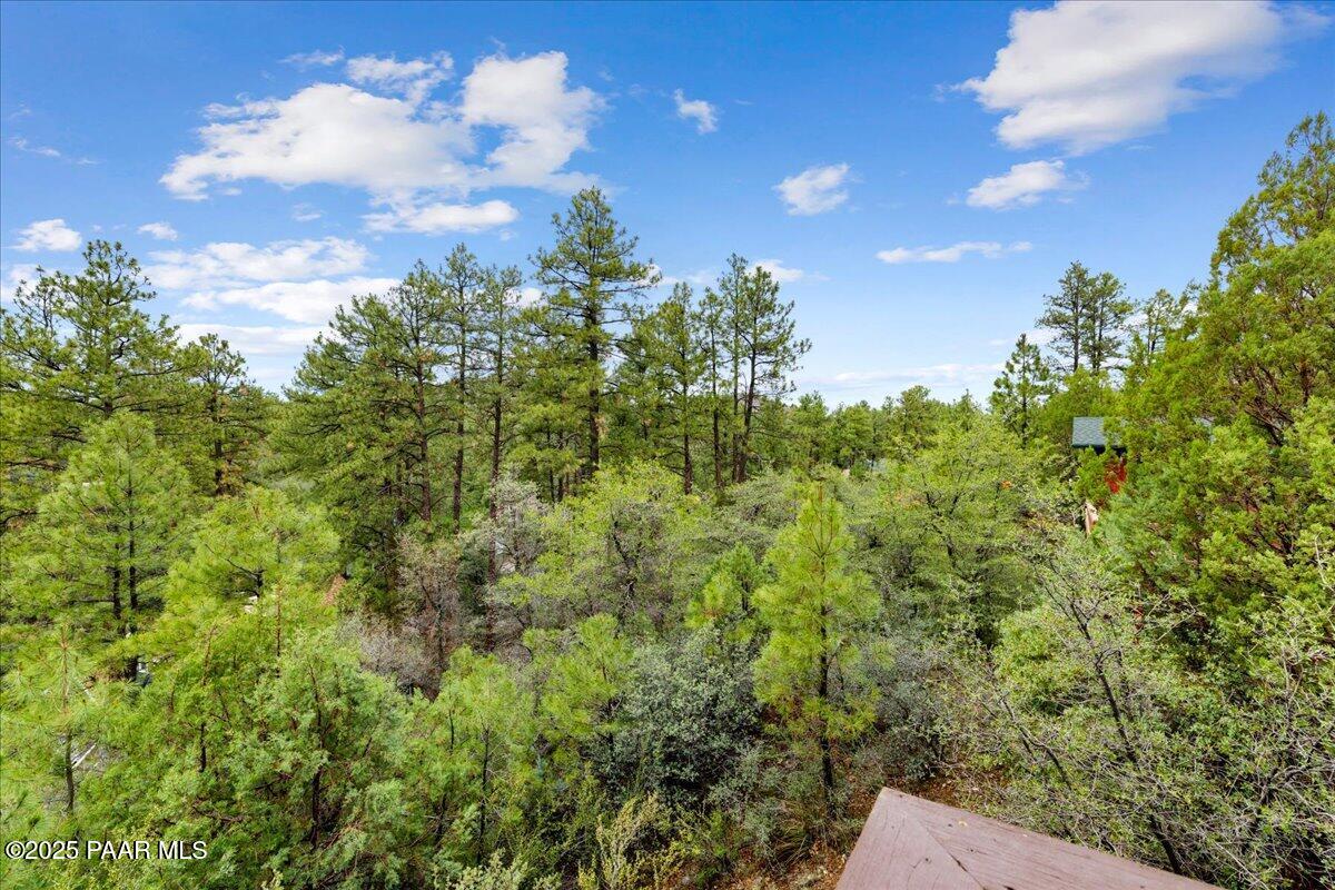 1370 East Pine Ridge Drive Prescott, AZ 86303 - Photo 30 of 32 a view of a bunch of trees