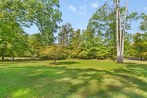 a yard with lots of green space and trees