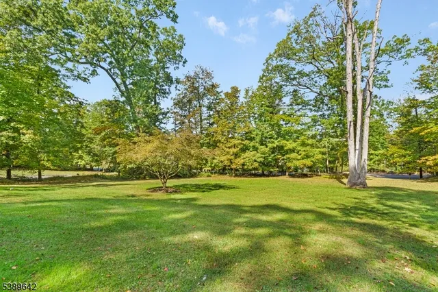 a yard with lots of green space and trees