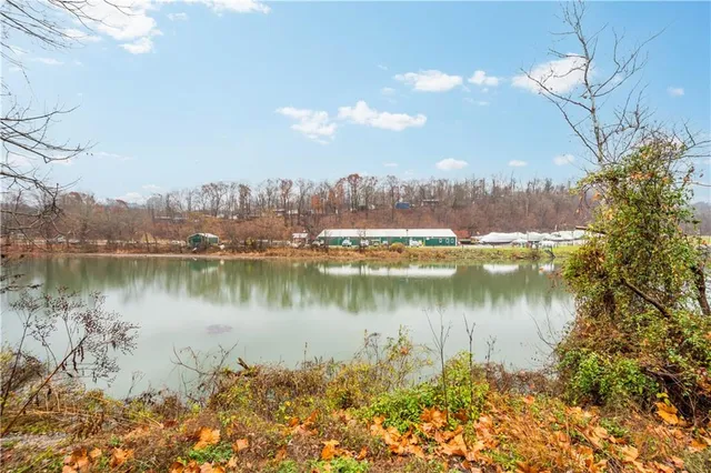 a view of a lake with a mountain