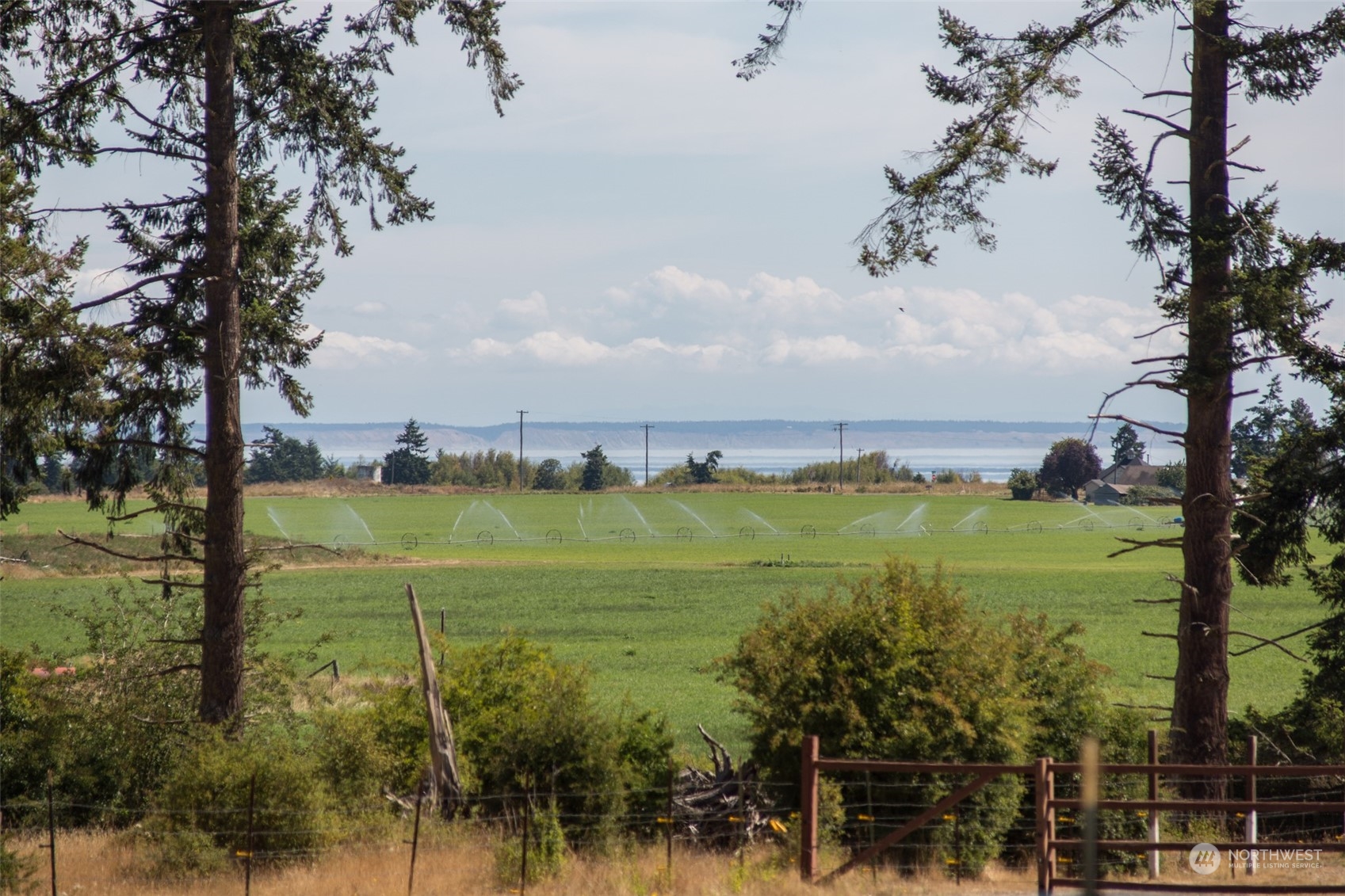 153 Delta Way Sequim, WA 98382 - Photo 2 of 40 Gallery Image 2