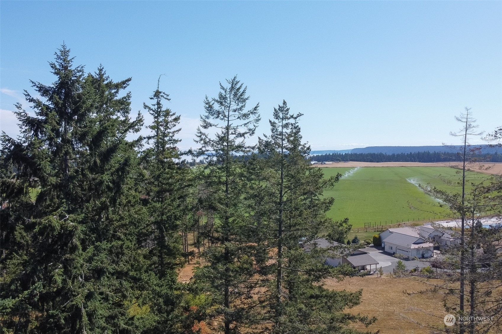 153 Delta Way Sequim, WA 98382 - Photo 4 of 40 Gallery Image 4